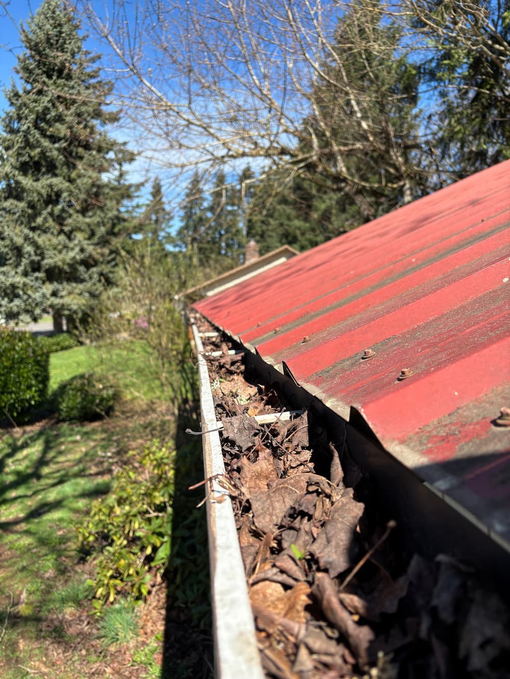 Before gutter cleaning - clogged gutter with debris and leaves in Vancouver WA